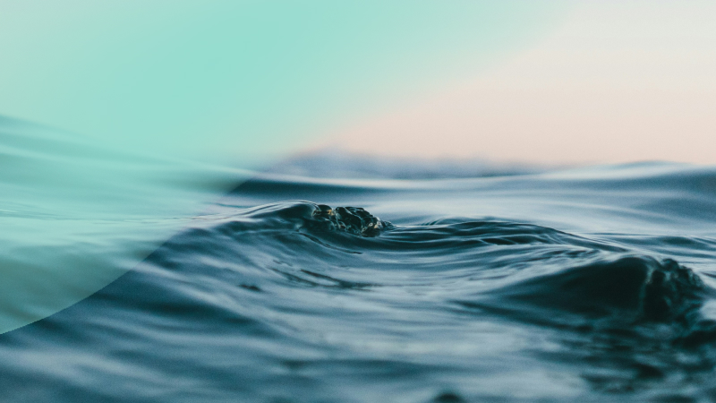 MariaDB Platform X5: New Tools and Features for Developers