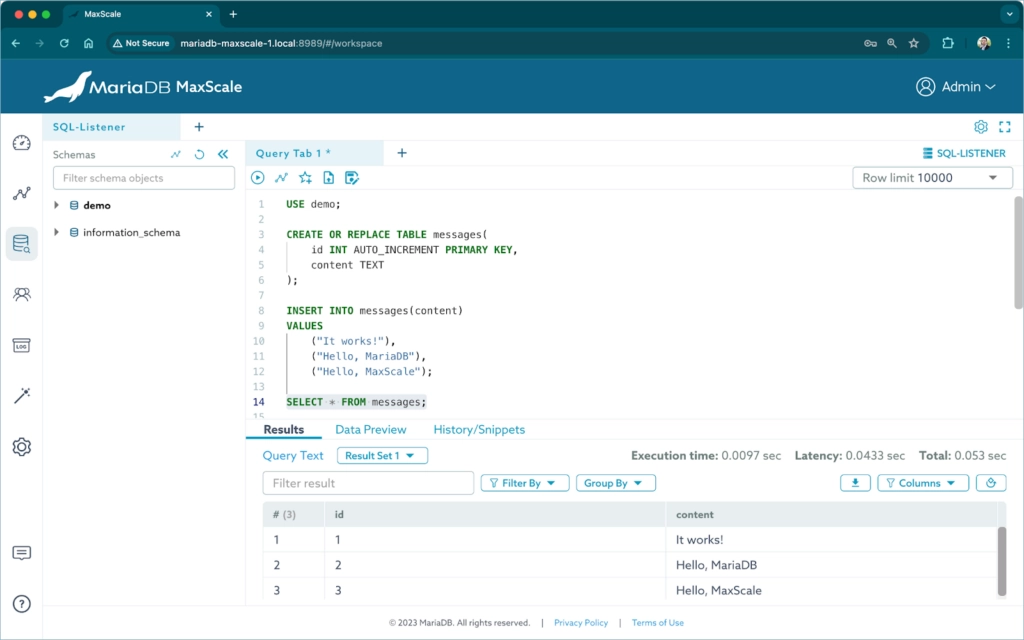 Query the table to see that only the ID of server1 is inserted